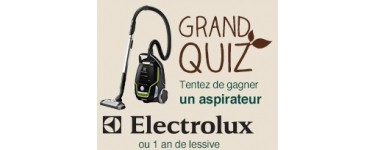 Carrefour: 10 aspirateurs Electrolux et 220 lots d'un an de lessive à gagner