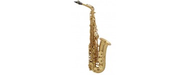 Musikia: Saxophone alto professionnel Selmer sa80 serie ii jubile alto bgg go à 2 869€