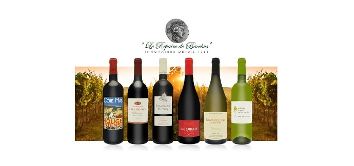 Groupon: Sélection de 6 bouteilles de vins du Languedoc à 39,90€ au lieu de 61,50€