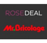 Veepee: Rosedeal Mr Bricolage : payez 15€ le bon d'achat de 30€