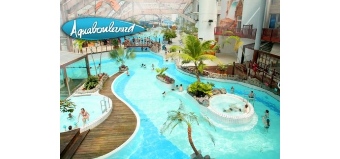Groupon: 1 an d'abonnement accès illimité au parc aquatique Aquaboulevard pour 109€