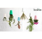 Westwing: Des pots de fleur suspendus BOSKKE et tableaux végétaux FLOWERBOX en promo