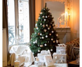 Delamaison: 20% de réduction sur tous les sapins de noël sans minimum d'achat