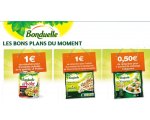 Bonduelle: 2,50€ de bons de réductions à imprimer pour vos achats