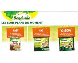 Bonduelle: 2,50€ de bons de réductions à imprimer pour vos achats