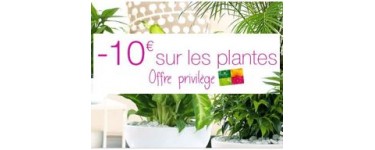 Truffaut: 10€ de remise dès 30€ d’achat sur toutes les plantes