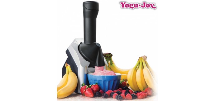 eBay: Machine à faire des yaourts et des glaces YOGU JOY à 49,95€