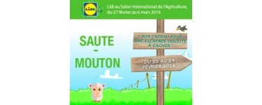 LIDL: 1 coffret cadeau « Voyage Insolite – 3 jours » (valeur 629,55€) à gagner