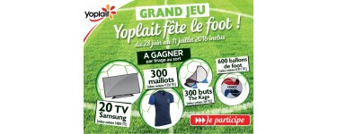 Carrefour: Jeu Yoplait : 20 TV LED, 300 cages de foot, 300 t-shirts et 600 ballons à gagner