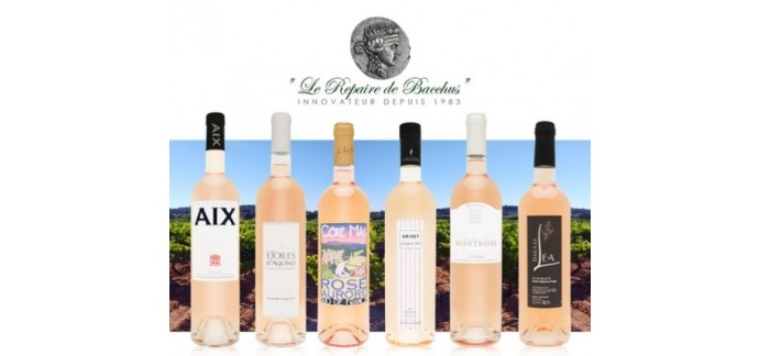 Groupon: 6 bouteilles "Sélection découverte vins rosés 2015" à 29,95€