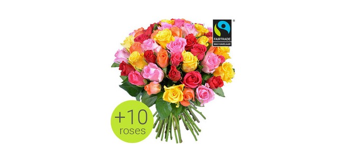 Aquarelle: 10 roses offertes sur le bouquet Arlequin