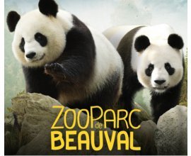 Groupon: Entrée adulte ou enfant pour le Zoo de Beauval à 21,50€ au lieu de 31€