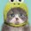 Nini26