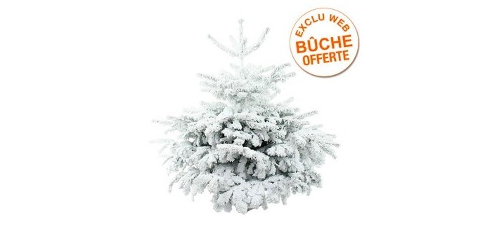 Truffaut: Livraison + bûche offertes pour l'achat d'un sapin coloré dès 69€