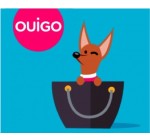 OUIGO: Voyage en train gratuit pour votre animal de compagnie de moins de 6 kg