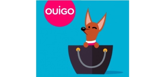 OUIGO: Voyage en train gratuit pour votre animal de compagnie de moins de 6 kg