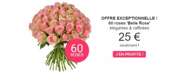 Aquarelle: Les gros bouquets de fleurs de 60 roses à 25€