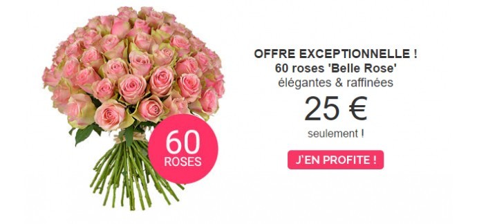 Aquarelle: Les gros bouquets de fleurs de 60 roses à 25€