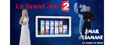 FranceTV: 1 iPad Air 2 16Go & 6 dentifrices Email Diamant à gagner