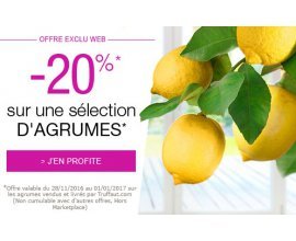 Truffaut: 20% de rabais sur une sélection d'agrumes et de plantes méditerraéennes