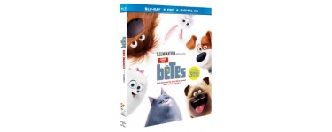 Chérie FM: 5 combos DVD/Blu-Ray du film "Comme des Bêtes" à gagner