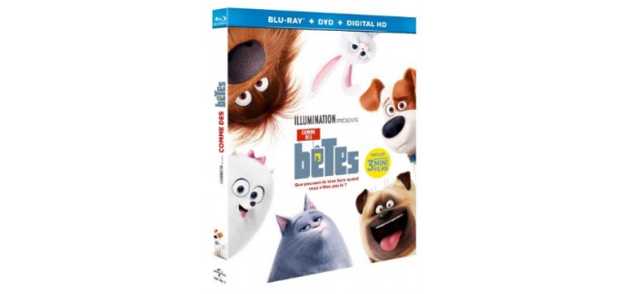 Chérie FM: 5 combos DVD/Blu-Ray du film "Comme des Bêtes" à gagner