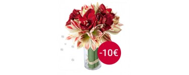 Aquarelle: 10 € de réduction sur un beau bouquet d'Amaryllis