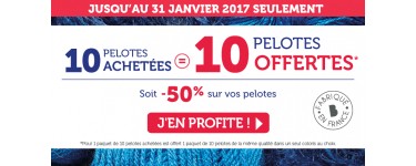 Bergère de France: 10 pelotes de laine achetées = 10 pelotes offertes