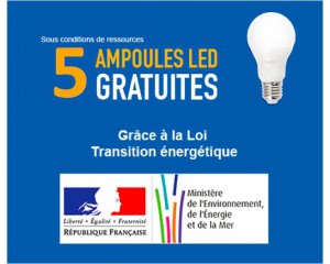 Mes Ampoules Gratuites: Transition Energétique: 5 ampoules led Gratuites, 15 en + pour 1€ ou 25 pour 2€