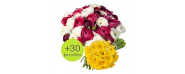Aquarelle: Un sublime bouquet de renoncules à 25€ au lieu de 37€ + 30 jonquilles offertes