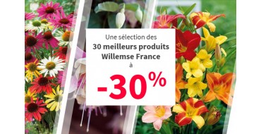 Willemse: -30% sur une sélection de meilleures ventes pour les balcons et jardins