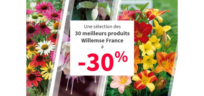 Willemse: -30% sur une sélection de meilleures ventes pour les balcons et jardins