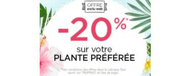 Truffaut: Profitez de 20% de remise sur votre plante préférée