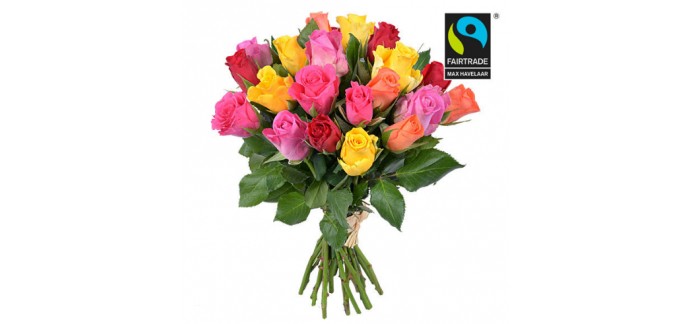 Aquarelle: Livraison gratuite pour l'achat du bouquet Arlequin à 20 roses