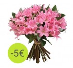 Aquarelle: Le bouquet de 20 Amaryllis à 25 € au lieu de 30 €