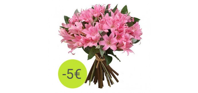 Aquarelle: Le bouquet de 20 Amaryllis à 25 € au lieu de 30 €
