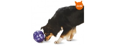 Wanimo: 20% de réduction sur les jouets pour chien Busy Buddy
