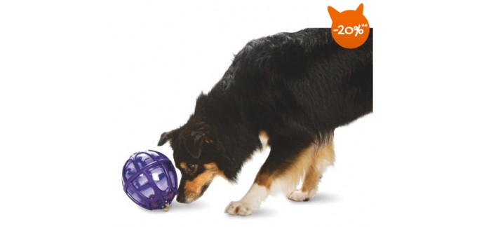 Wanimo: 20% de réduction sur les jouets pour chien Busy Buddy