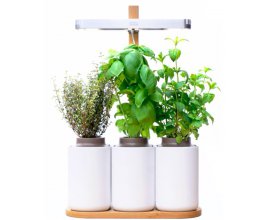 Boulanger: Potager d'intérieur prêt à pousser Lilo à 69€ au lieu de 99€