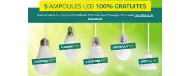 Carrefour: 5 ampoules LED offertes