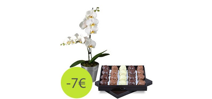 Aquarelle: Une orchidée en pot + une boîte de rochers 29 € au lieu de 36 €