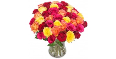 Euroflorist: Le bouquet de 20 roses à 19,95€ au lieu de 28€