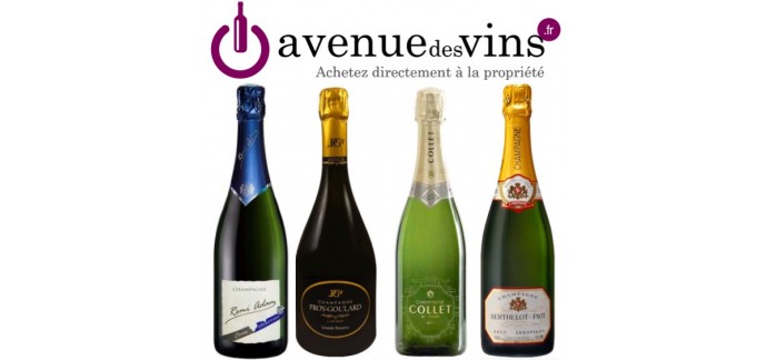 Avenue des Vins: Champagnes d'exception à moins de 25€