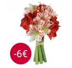 Aquarelle: 6 euros de réduction sur le superbe bouquet d'Amaryllis