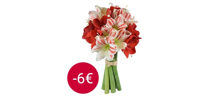 Aquarelle: 6 euros de réduction sur le superbe bouquet d'Amaryllis