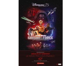 Carrefour: Billet adulte pour le parc d'attraction Disneyland au prix du billet enfant
