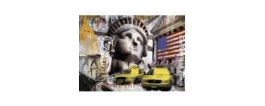 Cultura: Puzzle 900 pièces Métropole de New-York à 54,99€ au lieu de 119,99€ 
