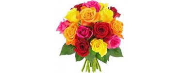 Florajet: 15 roses multicolores à 22€