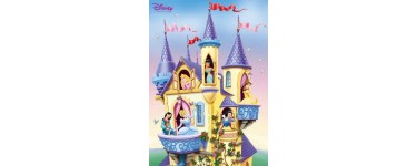 Allposters: Poster Disney Princess à 6,98€ au lieu de 9,99€