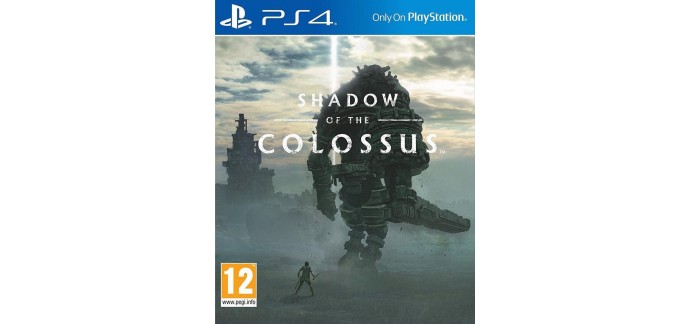 Rue du Commerce: [Précommande] Jeu Shadow Of The Colossus pour PS4 à 31€ 